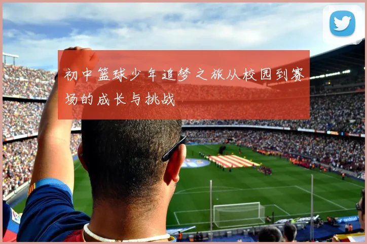 初中篮球少年追梦之旅从校园到赛场的成长与挑战