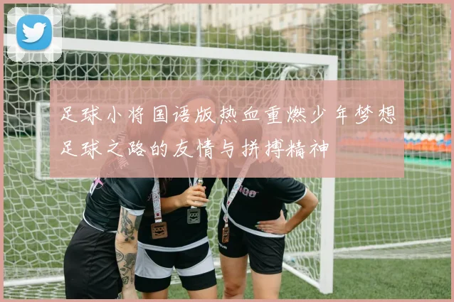 足球小将国语版热血重燃少年梦想足球之路的友情与拼搏精神