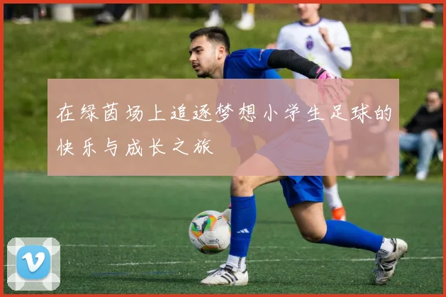 在绿茵场上追逐梦想小学生足球的快乐与成长之旅