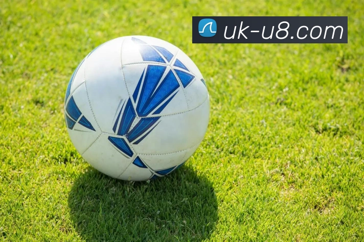 在线娱乐首选品牌APP 封面图